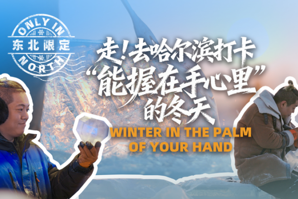 Winter_in_the_Palm_of_Your_Hand__Harbin_Sculptor_s_Tiny_Ice_Art video poster