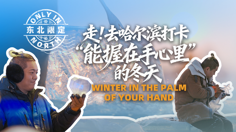Winter_in_the_Palm_of_Your_Hand__Harbin_Sculptor_s_Tiny_Ice_Art video poster