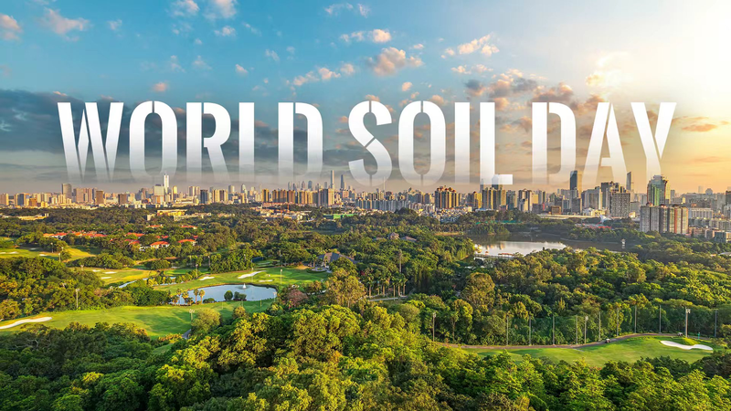 World_Soil_Day_2025__Healthy_Cities_Start_with_Healthy_Soils