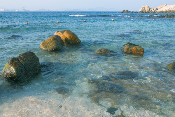 Wuzhizhou_Island_s_Ecology___Tourism_Model_Revives_Hainan_s_Coral_Reefs video poster