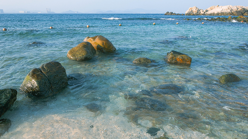 Wuzhizhou_Island_s_Ecology___Tourism_Model_Revives_Hainan_s_Coral_Reefs video poster