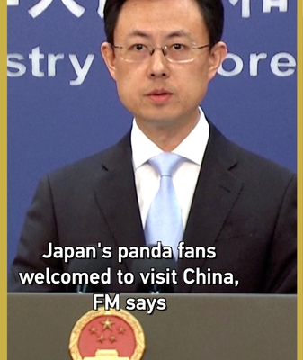 Chinese_Mainland_Welcomes_Japanese_Panda_Fans_Ahead_of_Twin_Pandas_Return video poster