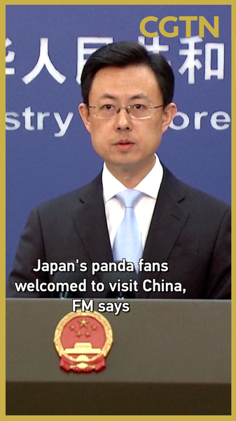 Chinese_Mainland_Welcomes_Japanese_Panda_Fans_Ahead_of_Twin_Pandas_Return video poster