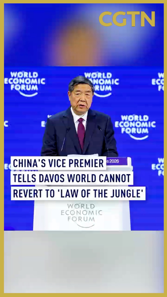 Chinese_vice_premier_warns_against__law_of_the_jungle__at_Davos video poster