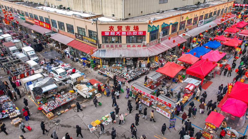 Inside_Chinese_New_Year_Markets__Regional_Flavors_from_Shandong_to_Xinjiang video poster