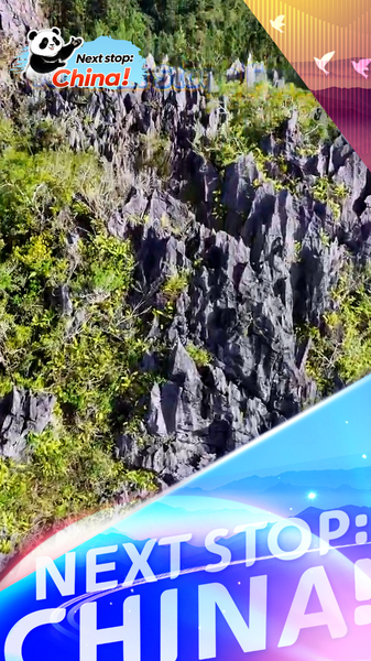 Inside Xian'an Stone Forest: Hainan’s Tropical Karst Gem video poster
