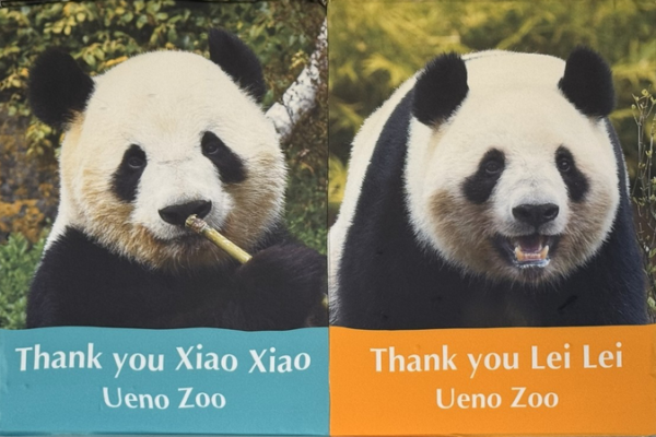 Tokyo’s Twin Pandas Xiao Xiao and Lei Lei Bid Farewell Ahead of Return