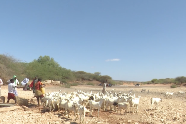 Somalia_s_Rural_Water_Crisis_Deepens_Amid_Two_Year_Drought video poster