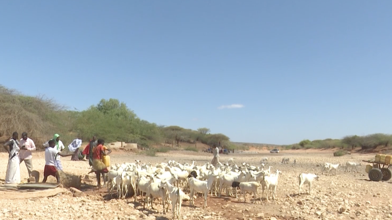 Somalia_s_Rural_Water_Crisis_Deepens_Amid_Two_Year_Drought video poster