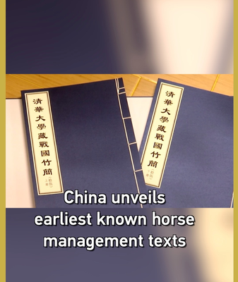 Warring_States_Bamboo_Slips_Reveal_Earliest_Horse_Management_Texts video poster