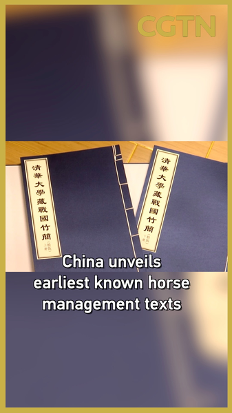 Warring_States_Bamboo_Slips_Reveal_Earliest_Horse_Management_Texts video poster